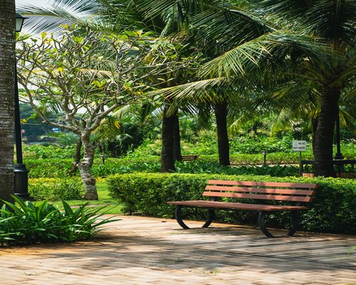 A serene outdoor scene of a wooden bench surrounded by green park trees in a peaceful morning light